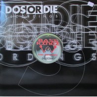 Bass Kingz ‎– The Rhythm 