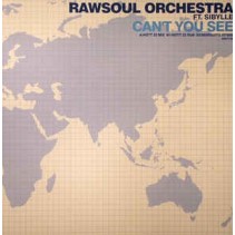 Rawsoul Orchestra ‎– Can't You See 