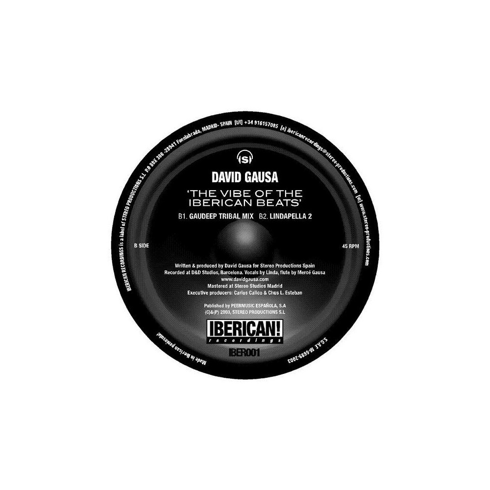 David Gausa ‎– The Vibe Of The Iberican Beats