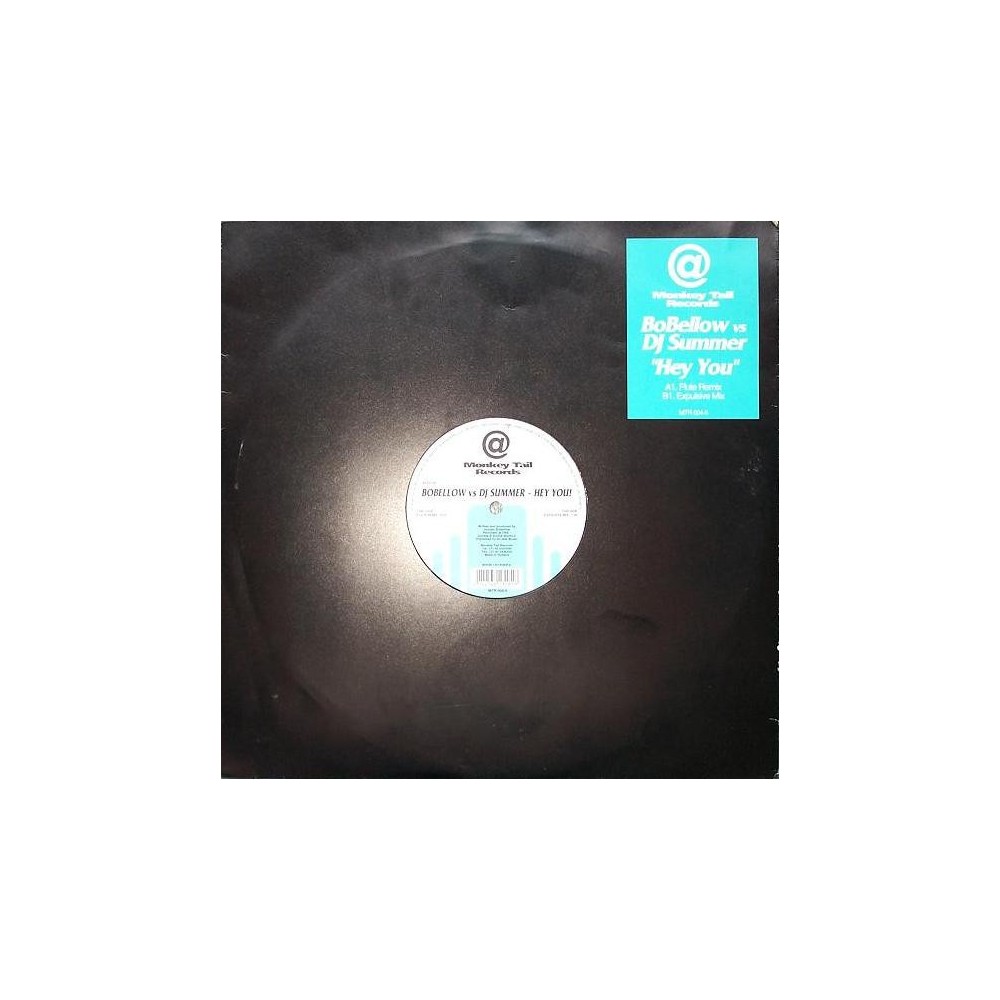 Bo Bellow vs. DJ Summer ‎– Hey You 