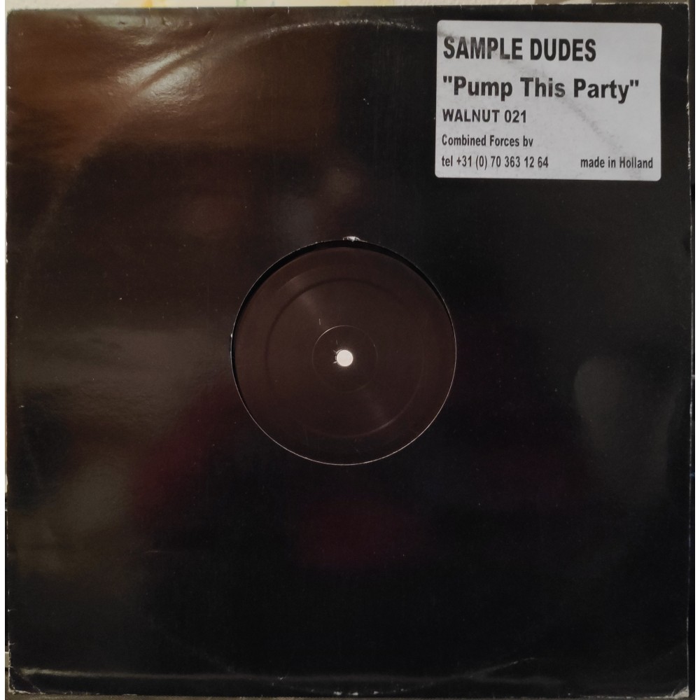 Sample Dudes ‎– Pump This Party 