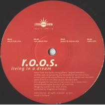 R.O.O.S. ‎– Living In A Dream