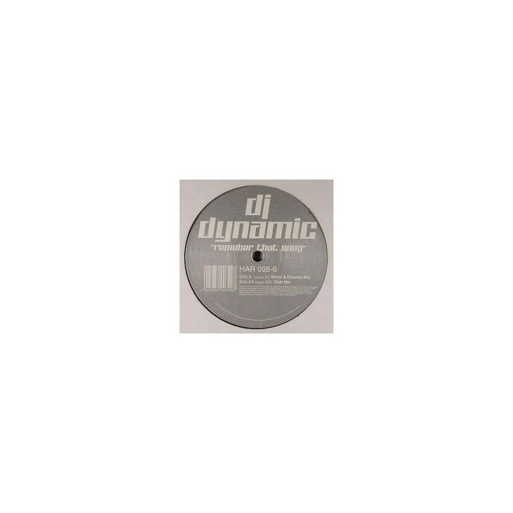 DJ Dynamic ‎– Remember That Song 