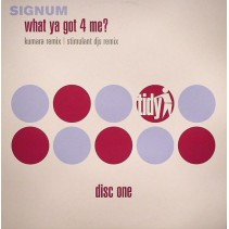 Signum ‎– What Ya Got 4 Me (Disc One)