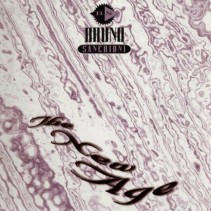 Bruno Sanchioni ‎– The New Age