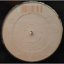 Little Buddha's ‎– Forgiven In the 5000 Caves Of Buddha