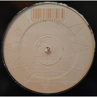 Little Buddha's ‎– Forgiven In the 5000 Caves Of Buddha