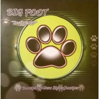 Big Foot  - In The Air