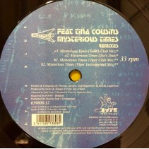 Sash! Feat Tina Cousins ‎– Mysterious Times (The Todd Terry & Viper Remixes)