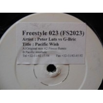 Peter Luts vs. G-Bric ‎– Pacific Wish