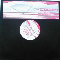 R.O.O.S. ‎– Living In A Dream (Remix)