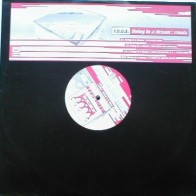 R.O.O.S. ‎– Living In A Dream (Remix)