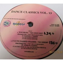 Dance Classics Vol. 13