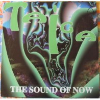 Taiga-The Sound Of Now(2 MANO,SUN RECORDS)