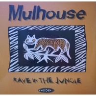 Mulhouse - Rave In The Jungle