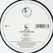 Plexus ‎– Cactus Rhythm (DIKI RECORDS)