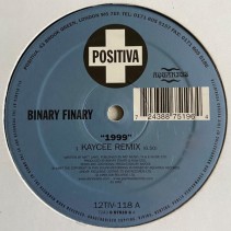Binary Finary ‎– 1999