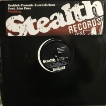 Buddah Presents Everdelicious Feat. Lisa Pure – Walking