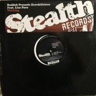 Buddah Presents Everdelicious Feat. Lisa Pure – Walking