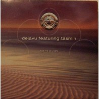 Dejavu Featuring Tasmin ‎– Against All Odds