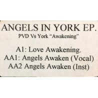 PVD* vs. York ‎– Angels In York EP