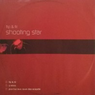 Flip & Fill - Shooting Star