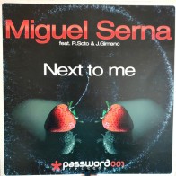 Miguel Serna feat. Raúl Soto & Jaime Gimeno - Next to me