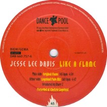 Jesse Lee Davis - Like A Flame