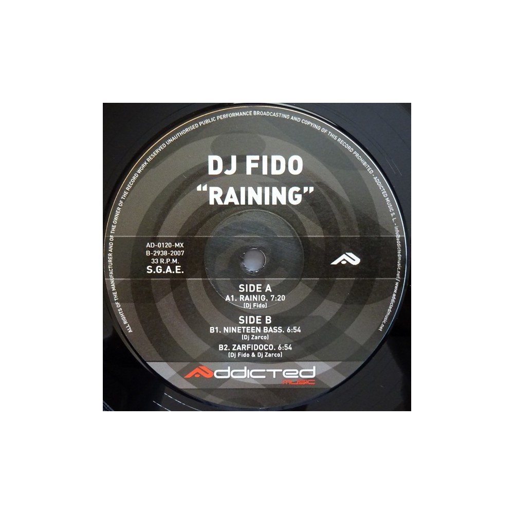 DJ Fido - Raining