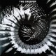 Catscan & Starving Insect – The Creeper