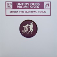 Untidy Dubs Volume Seven
