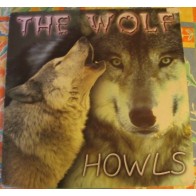  The Wolf - Howls(MELODIA MAÑANERA CHOCOLATE¡)