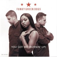 Funky Green Dogs - You Got Me (2 MANO,CLÁSICO SOUND FACTORY¡¡ JOYITA¡¡)