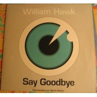 William Hawk - Say Goodbye(2 MANO)