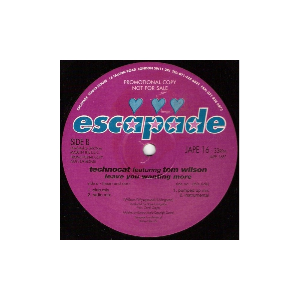 Technocat Featuring Tom Wilson - Leave You Wanting More(2 MANO,CANTADO REMEMBER)