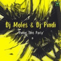 DJ Molés & DJ Pindi - Pump This Party(2 MANO,CHR)
