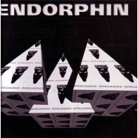 Endorphin - They Came At Night(SUPREME INTELLIGENCE)