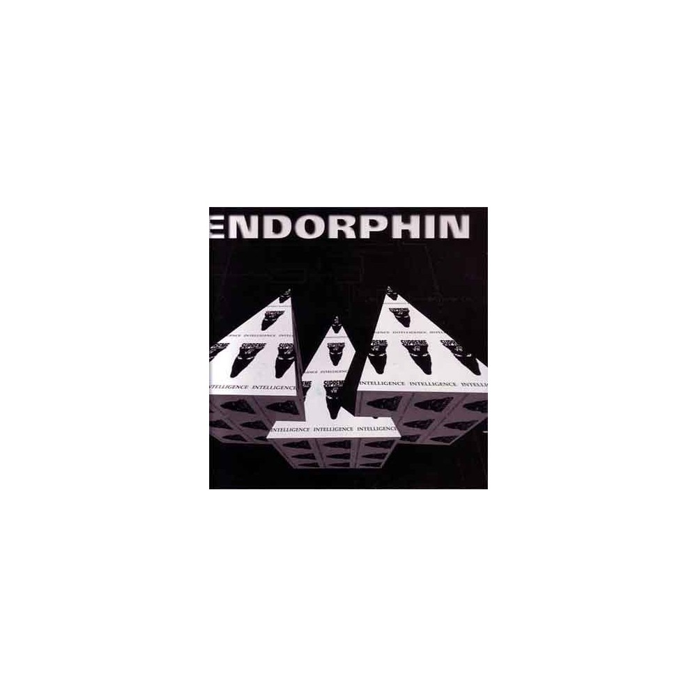 Endorphin - They Came At Night(SUPREME INTELLIGENCE)