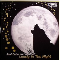 Javi Cube And XaViReG - Lonely In The Night(Pokazo Recomendado x Dj RAi)