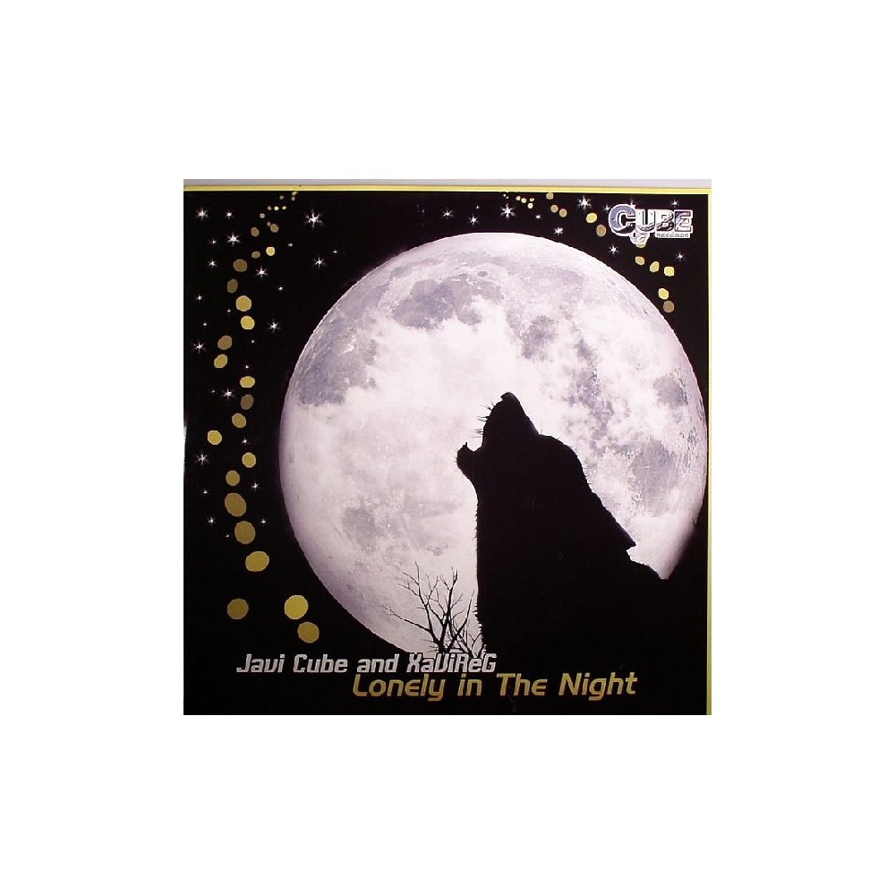 Javi Cube And XaViReG - Lonely In The Night(Pokazo Recomendado x Dj RAi)