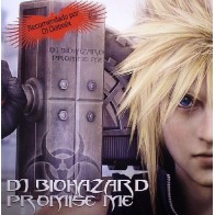DJ Biohazard  - Promise Me