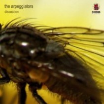 The Arpeggiators – Dissection(2 MANO,PRODUCIDO POR DJ JUANMA DE CENTRAL¡)