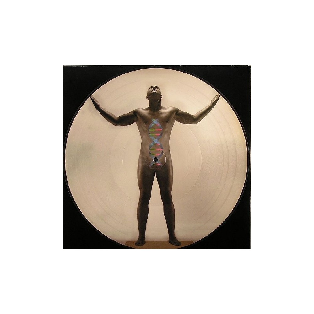 Head Horny's  - Tell Me Lies