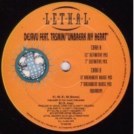 Dejavu Feat. Tasmin - Unbreak My Heart(iMPRESIONANTEEEE¡¡)