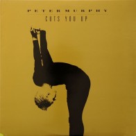 Peter Murphy – Cuts You Up(2 MANO,TEMAZO¡¡)