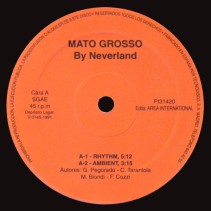 Neverland – Mato Grosso (2 MANO,TEMAZO CORTE B2,SELLO AREA INTERNACIONAL)