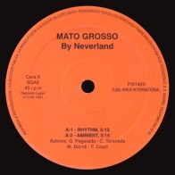 Neverland – Mato Grosso (2 MANO,TEMAZO CORTE B2,SELLO AREA INTERNACIONAL)