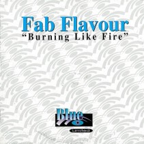 Fab Flavour – Burning Like Fire (BASUCÓN¡¡)