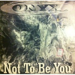 Onyx  – Not To Be You 