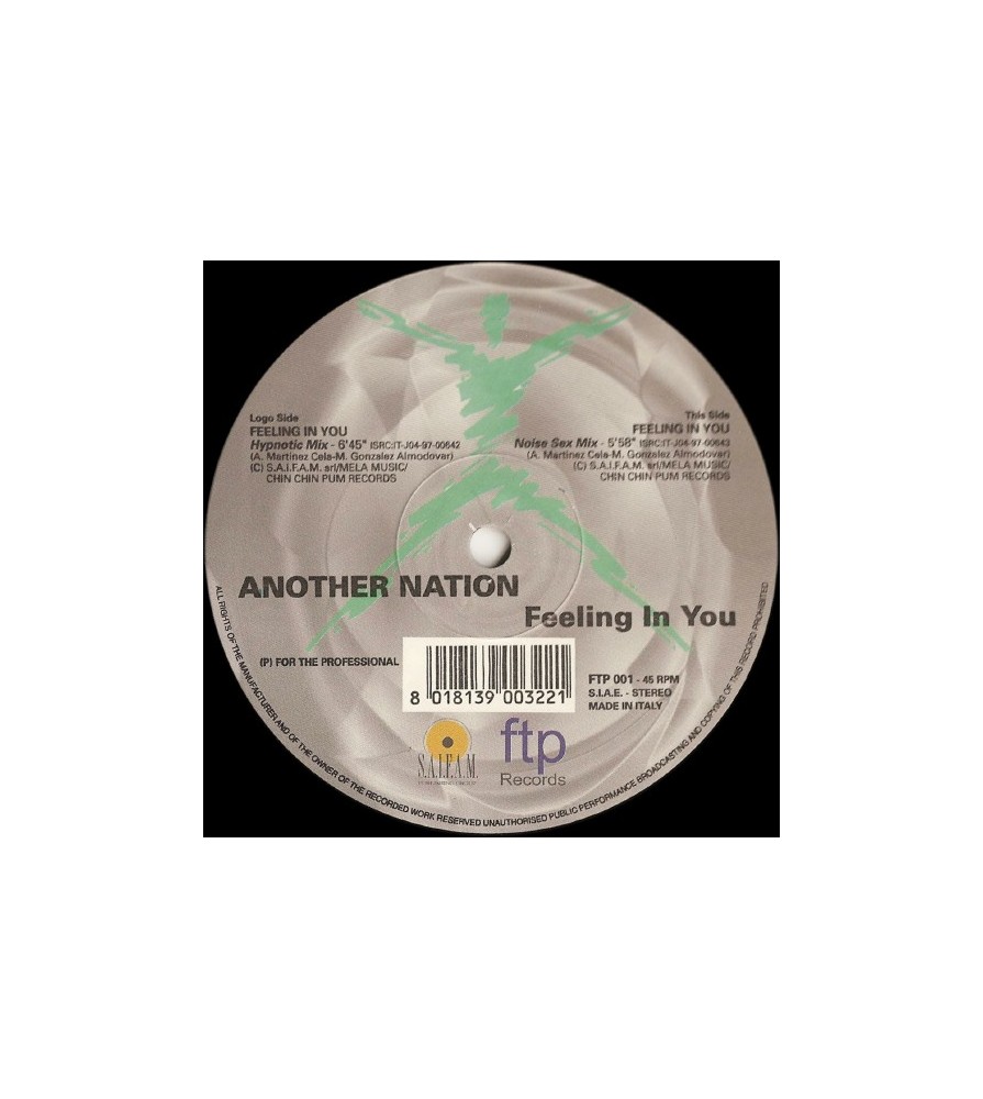 Another Nation ‎– Feeling In You 